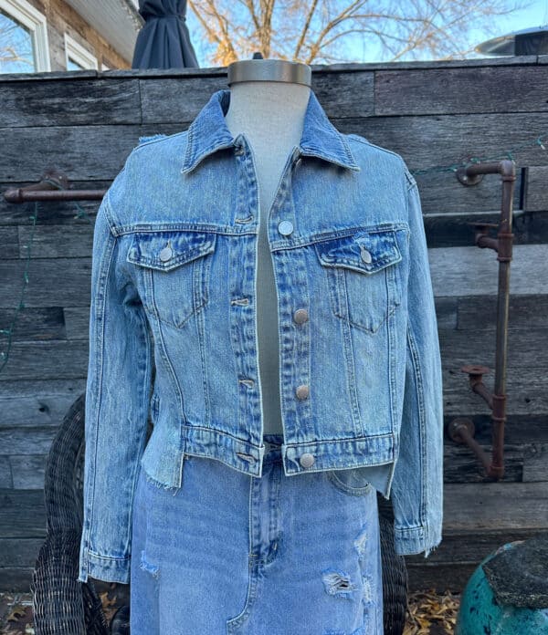 Denim Cropped Jacket